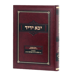 ידיד-ב-הדמיה