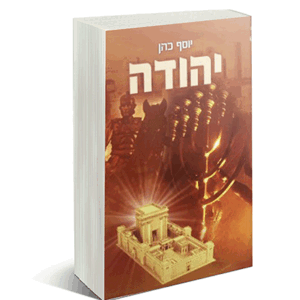יהודה-מבצע-הדמיה