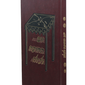 יום-החופה-לכלה-copy