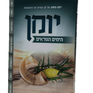 יומן-ימים-הדמיה