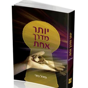 יותר-מבצע-הדמיה