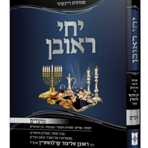 יחי-ראובן-מועדים-הדמיה