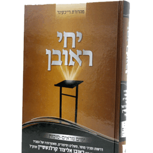 יחי-ראובן-סוכות-הדמיה