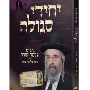 יחידי-סגולה-הדמיה