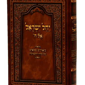 יחל-ישראל-הדמיה