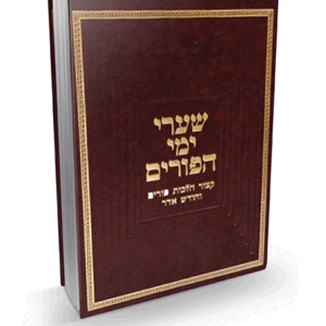 ימי-הפורים-הדמיה