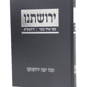 ירושתינו-תשפא-הדמיה