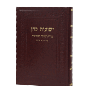 ישועות-כהן-הדמיה