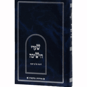 ישיבה-לדמותו-הדמיה