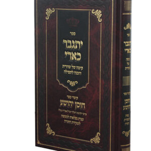 יתגבר-כארי-copy