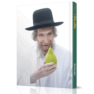 כאור-השחר-מבצע-הדמיה