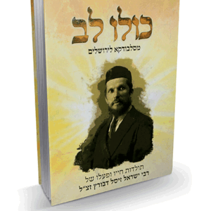 כולו-מבצע-הדמיה