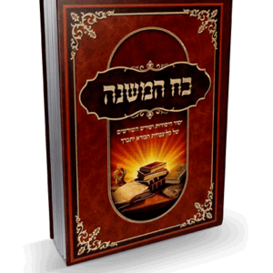 כח-המשנה-הדמיה