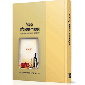 ככל-שבת-הדמיה