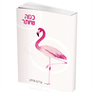 כמה-שיותר-הדמיה