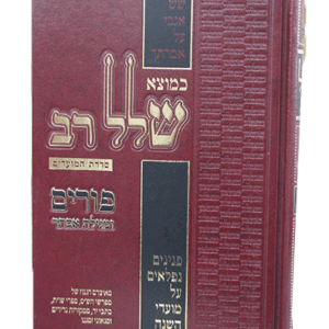 כמוצא-שלל-רב-פורים