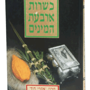 כשרות-ארבעת-הדמיה