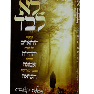 לא-לבד-הדמיה