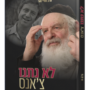 לא-נתנו-צאנס-הדמיה