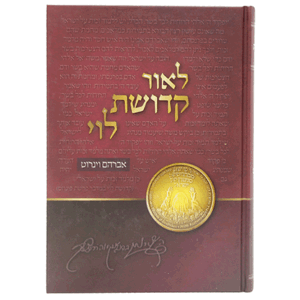 לאור-קדושת-הדמיה