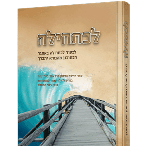 לכתחילה-הדמיה