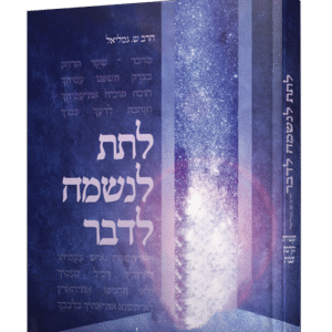 לתת-לנשמה-לדבר-הדמיה