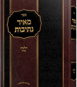 מאיר-נתיבות