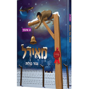 מאירל-הדמיה