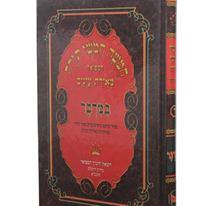 מאירת-עינים-במדבר-copy