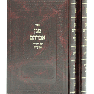 מגן-אברהם-הדמיה