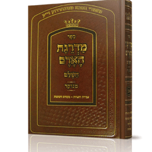 מדרגת-האדם-הדמיה