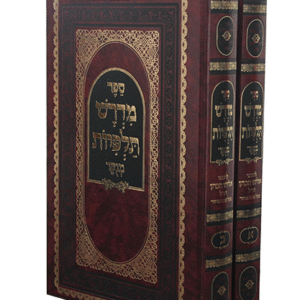 מדרש-תלפיות-copy