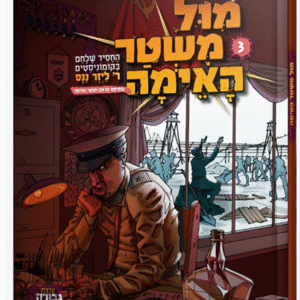 מול-משטר-3-הדמיה