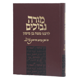 מורה-נבוכים-הדמיה