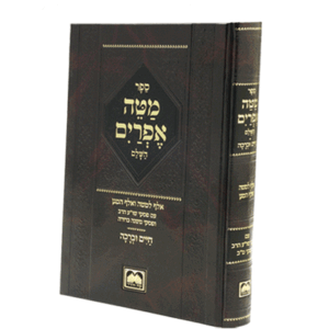 מטה-אפרים-הדמיה-1