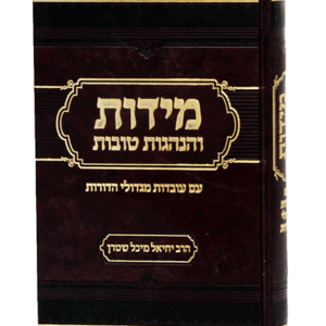 מידות-והנהגות-הדמיה