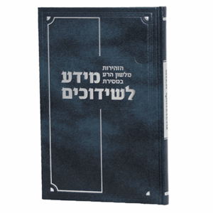 מידע-לשידכים-הדמיה