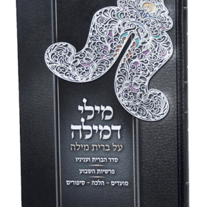 מילי-דמילה-הדמיה