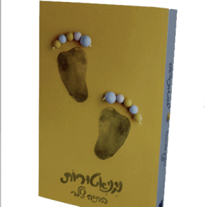 מינאטורות-הדמיה