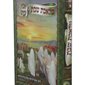 מלאכת-שבת-לאבות-ובנים-copy