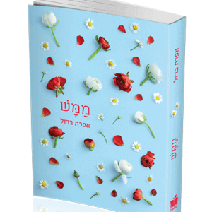 ממש-הדמיה