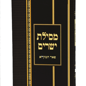 מסילת-יפה-הדמיה