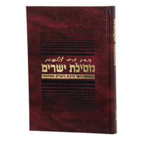 מסילת-שלנגר-הדמיה