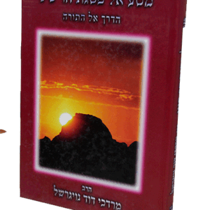 מסע-אל-פסגת-הדמיה