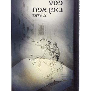 מסע-בזמן-מבצע-הדמיה