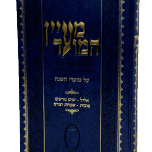 מעיין-המועד-הדמיה