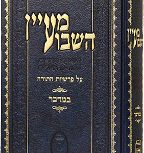 מעין-השבוע-במדבר