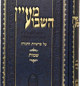 מעין-השבוע-שמות