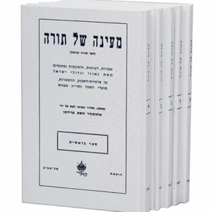 מעינה-הדמיה