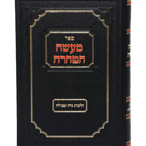 מעשה-הטהרה-הדמיה